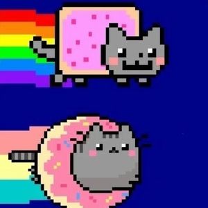 Meet your Posher, Ari